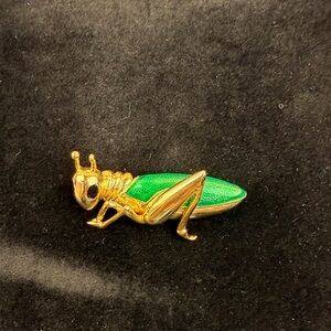Vintage Cabouchon Cricket Brooch